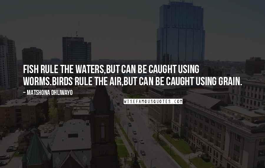 Matshona Dhliwayo Quotes: Fish rule the waters,but can be caught using worms.Birds rule the air,but can be caught using grain.