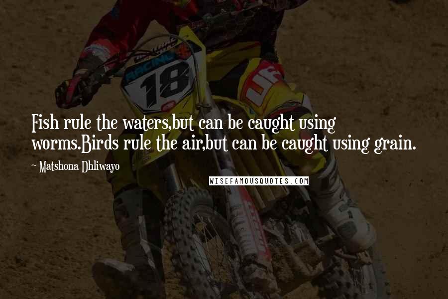 Matshona Dhliwayo Quotes: Fish rule the waters,but can be caught using worms.Birds rule the air,but can be caught using grain.