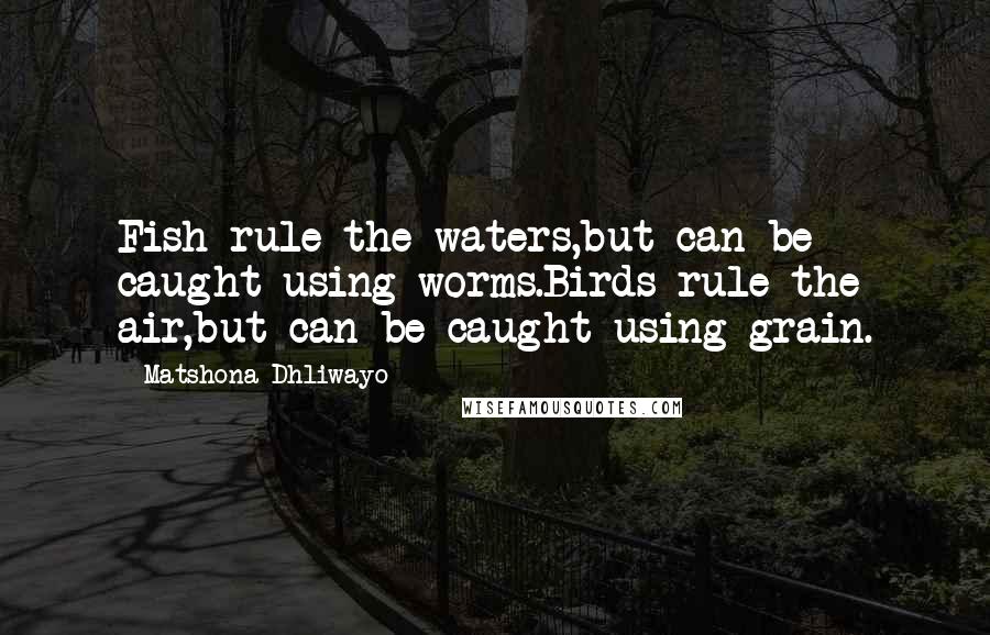 Matshona Dhliwayo Quotes: Fish rule the waters,but can be caught using worms.Birds rule the air,but can be caught using grain.