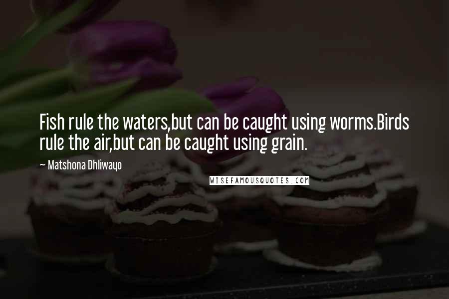 Matshona Dhliwayo Quotes: Fish rule the waters,but can be caught using worms.Birds rule the air,but can be caught using grain.