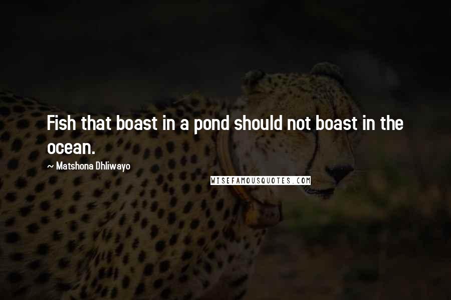 Matshona Dhliwayo Quotes: Fish that boast in a pond should not boast in the ocean.