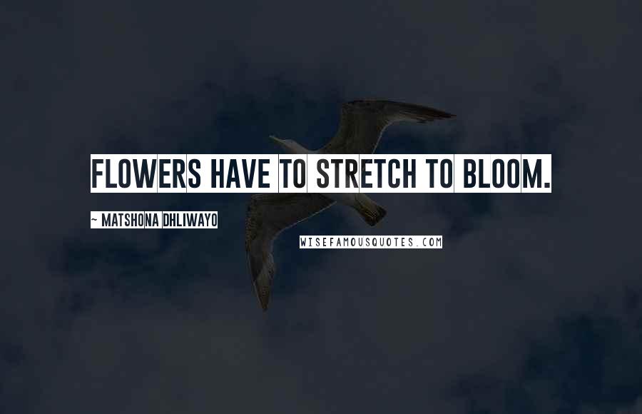 Matshona Dhliwayo Quotes: Flowers have to stretch to bloom.