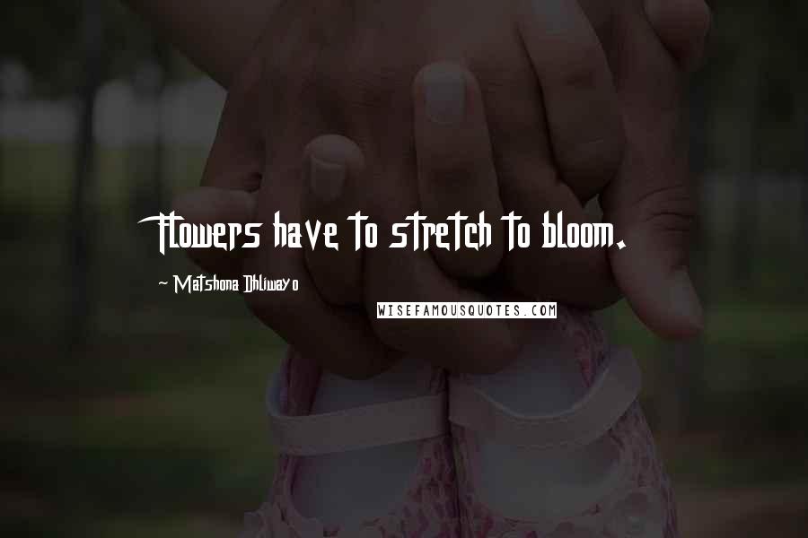Matshona Dhliwayo Quotes: Flowers have to stretch to bloom.