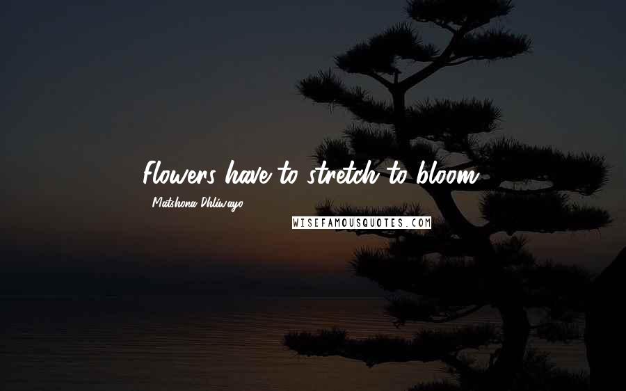 Matshona Dhliwayo Quotes: Flowers have to stretch to bloom.