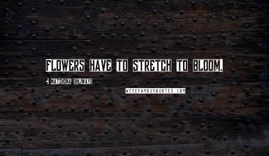 Matshona Dhliwayo Quotes: Flowers have to stretch to bloom.