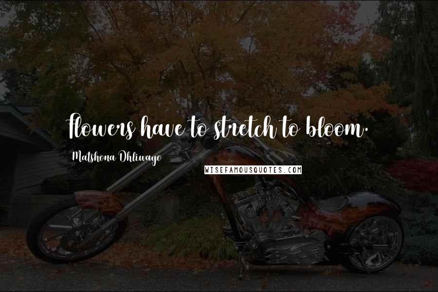 Matshona Dhliwayo Quotes: Flowers have to stretch to bloom.