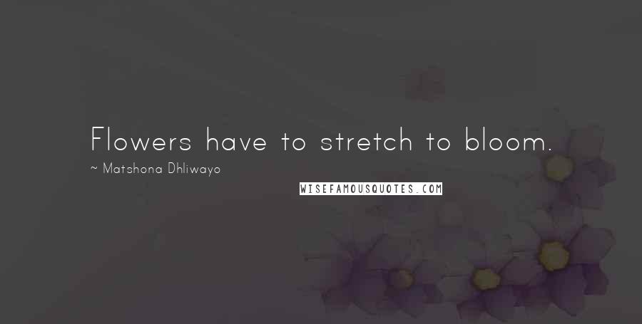 Matshona Dhliwayo Quotes: Flowers have to stretch to bloom.
