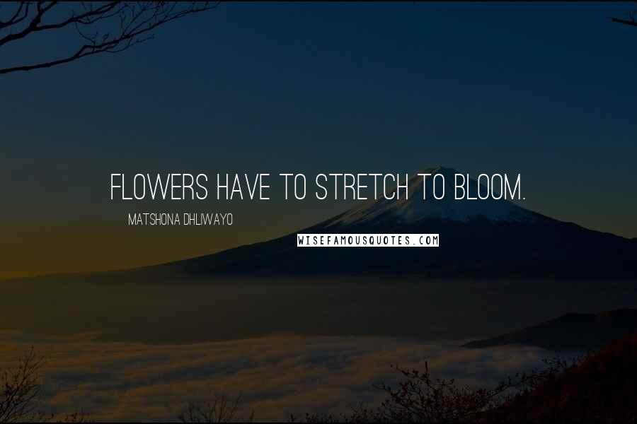 Matshona Dhliwayo Quotes: Flowers have to stretch to bloom.