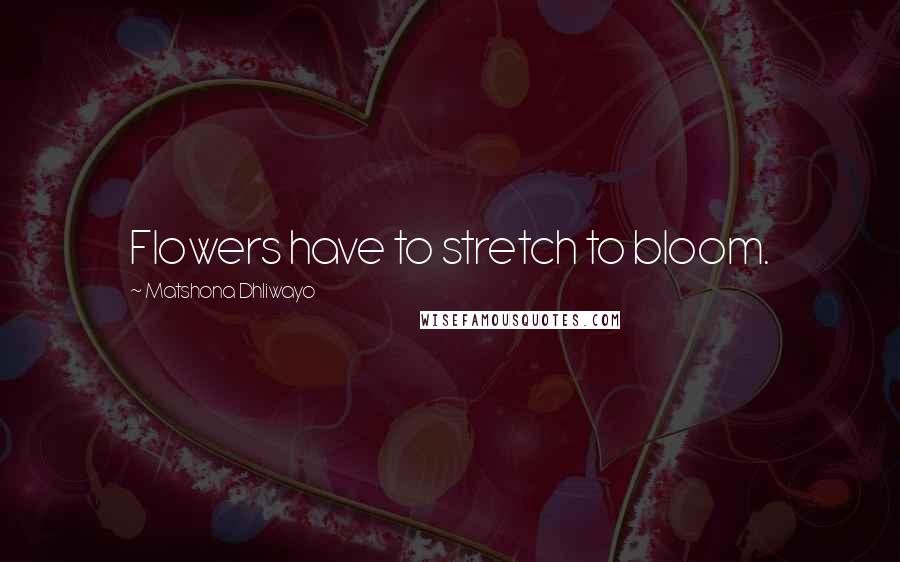 Matshona Dhliwayo Quotes: Flowers have to stretch to bloom.