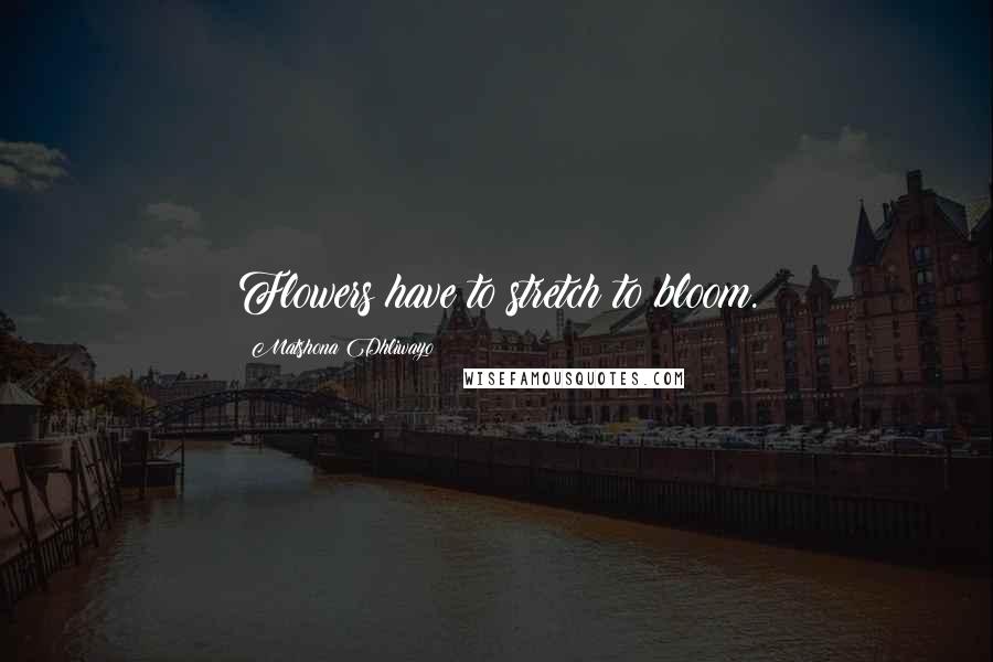 Matshona Dhliwayo Quotes: Flowers have to stretch to bloom.