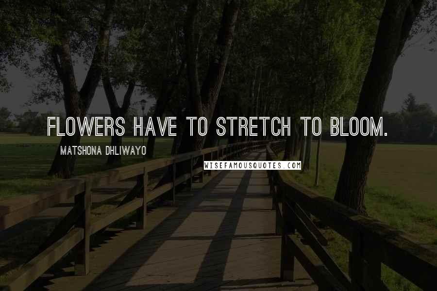 Matshona Dhliwayo Quotes: Flowers have to stretch to bloom.