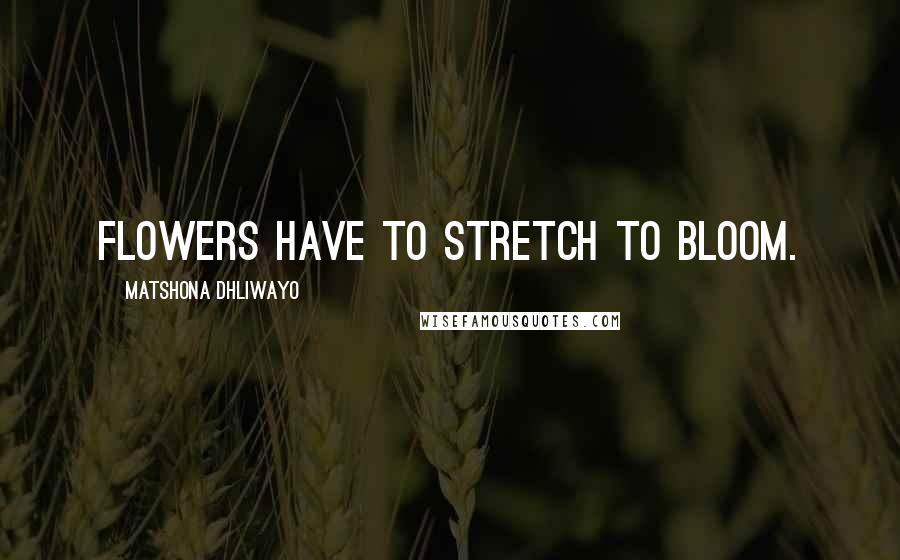 Matshona Dhliwayo Quotes: Flowers have to stretch to bloom.