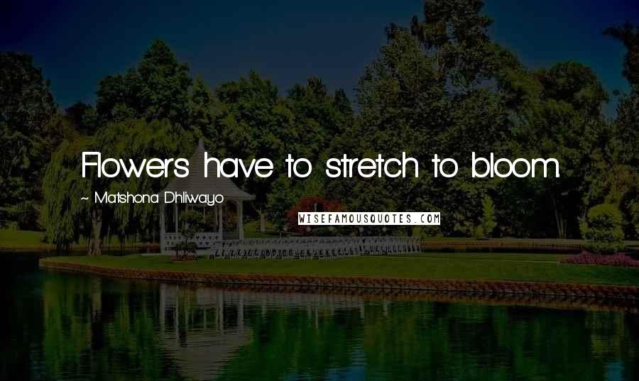 Matshona Dhliwayo Quotes: Flowers have to stretch to bloom.