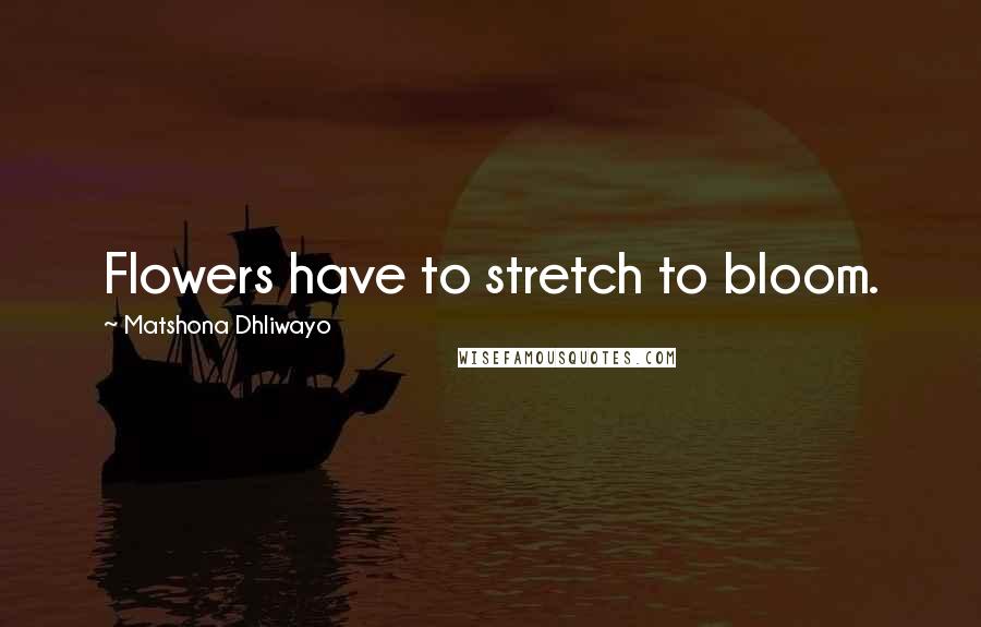 Matshona Dhliwayo Quotes: Flowers have to stretch to bloom.