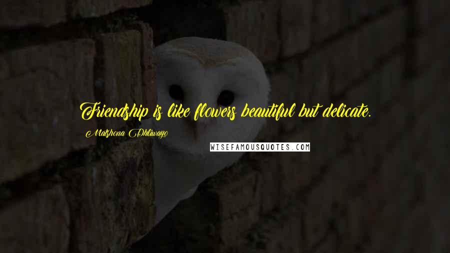 Matshona Dhliwayo Quotes: Friendship is like flowers;beautiful but delicate.