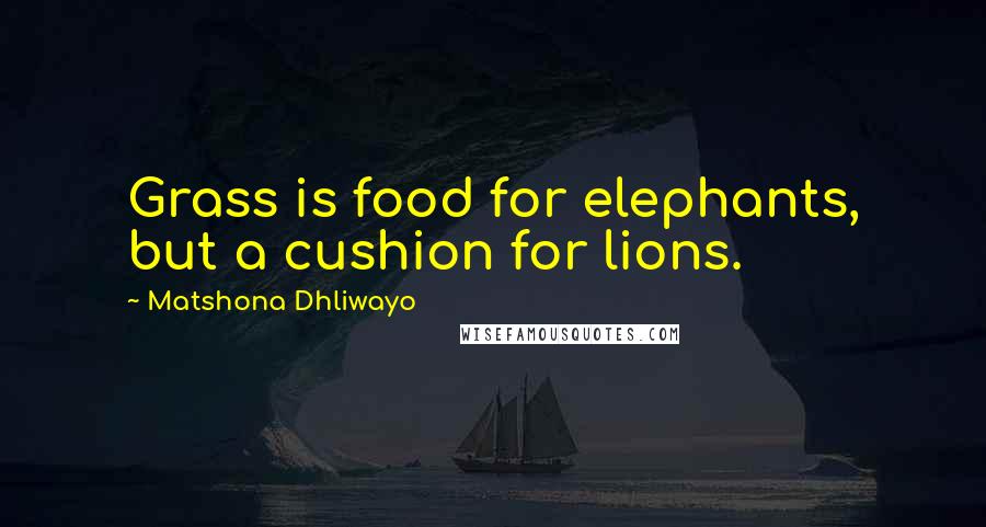 Matshona Dhliwayo Quotes: Grass is food for elephants, but a cushion for lions.