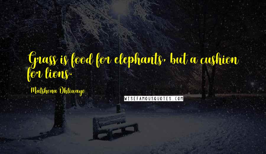 Matshona Dhliwayo Quotes: Grass is food for elephants, but a cushion for lions.