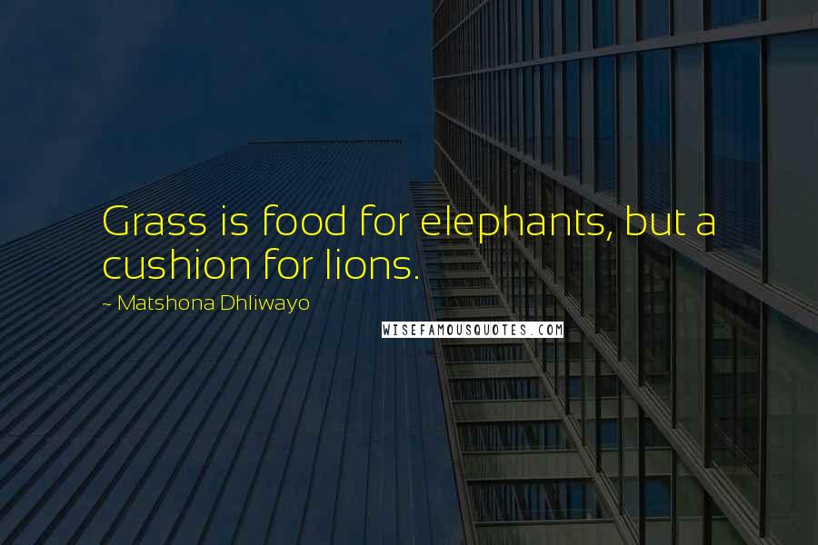 Matshona Dhliwayo Quotes: Grass is food for elephants, but a cushion for lions.