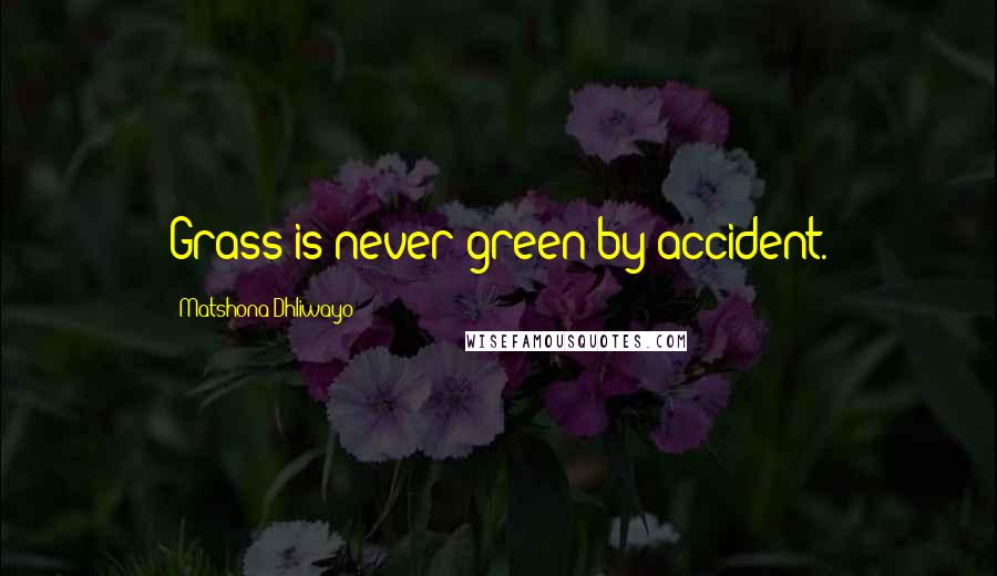 Matshona Dhliwayo Quotes: Grass is never green by accident.