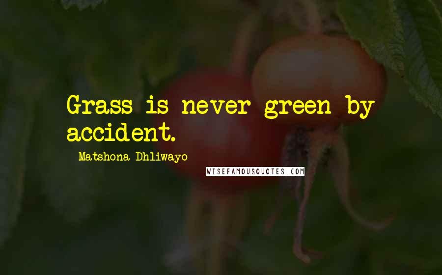 Matshona Dhliwayo Quotes: Grass is never green by accident.