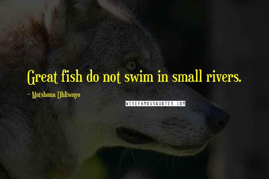 Matshona Dhliwayo Quotes: Great fish do not swim in small rivers.