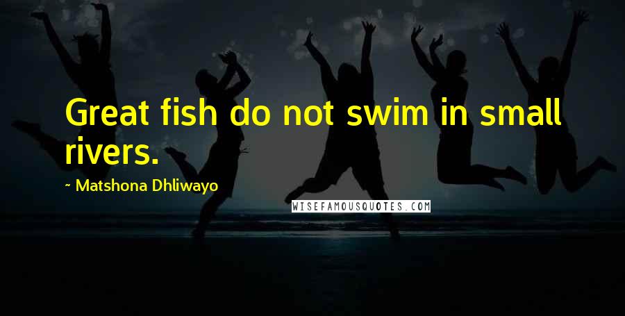 Matshona Dhliwayo Quotes: Great fish do not swim in small rivers.