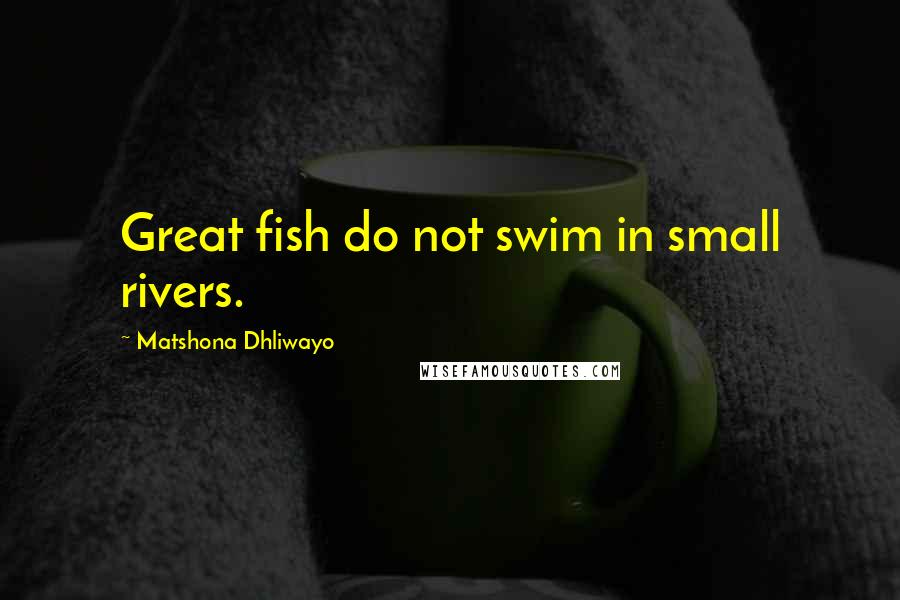 Matshona Dhliwayo Quotes: Great fish do not swim in small rivers.