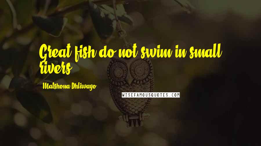 Matshona Dhliwayo Quotes: Great fish do not swim in small rivers.