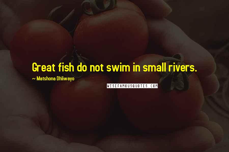 Matshona Dhliwayo Quotes: Great fish do not swim in small rivers.