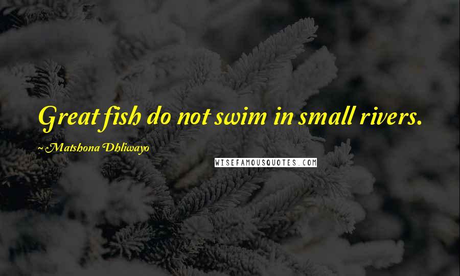 Matshona Dhliwayo Quotes: Great fish do not swim in small rivers.