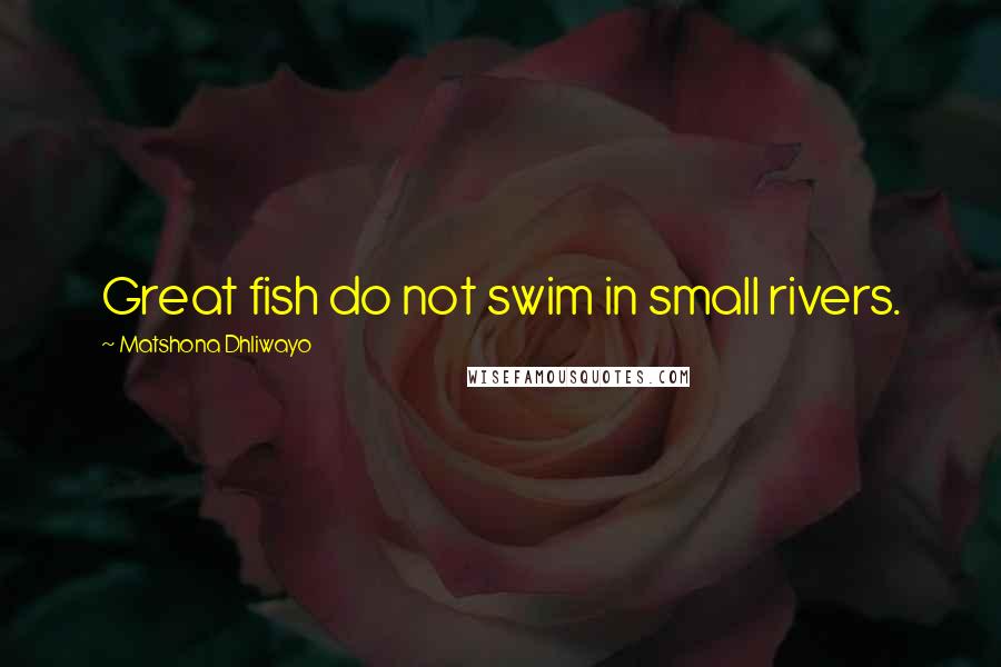 Matshona Dhliwayo Quotes: Great fish do not swim in small rivers.