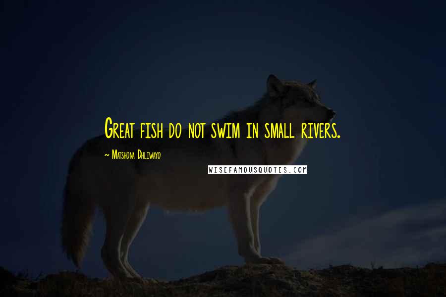 Matshona Dhliwayo Quotes: Great fish do not swim in small rivers.