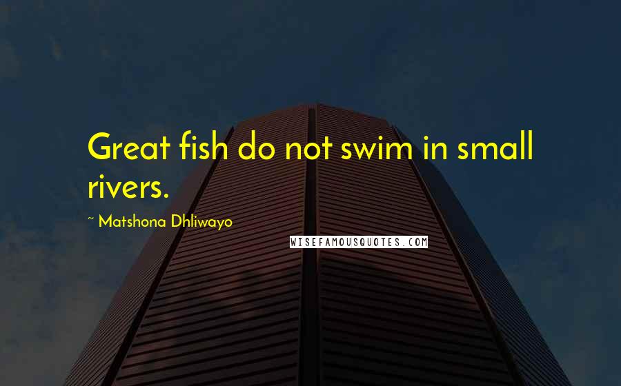 Matshona Dhliwayo Quotes: Great fish do not swim in small rivers.