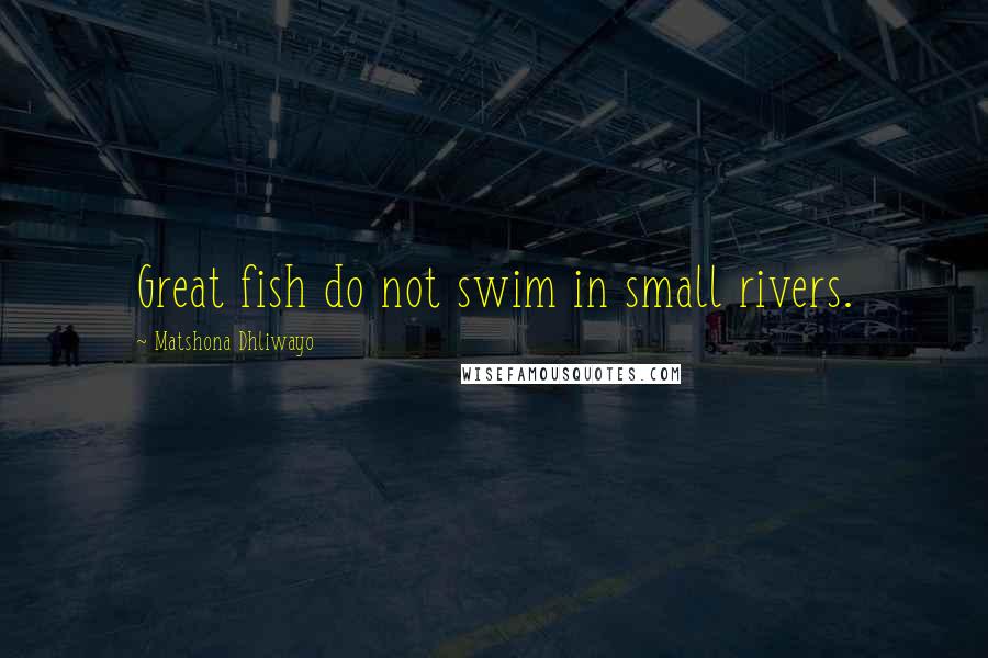 Matshona Dhliwayo Quotes: Great fish do not swim in small rivers.
