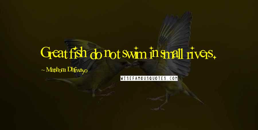 Matshona Dhliwayo Quotes: Great fish do not swim in small rivers.