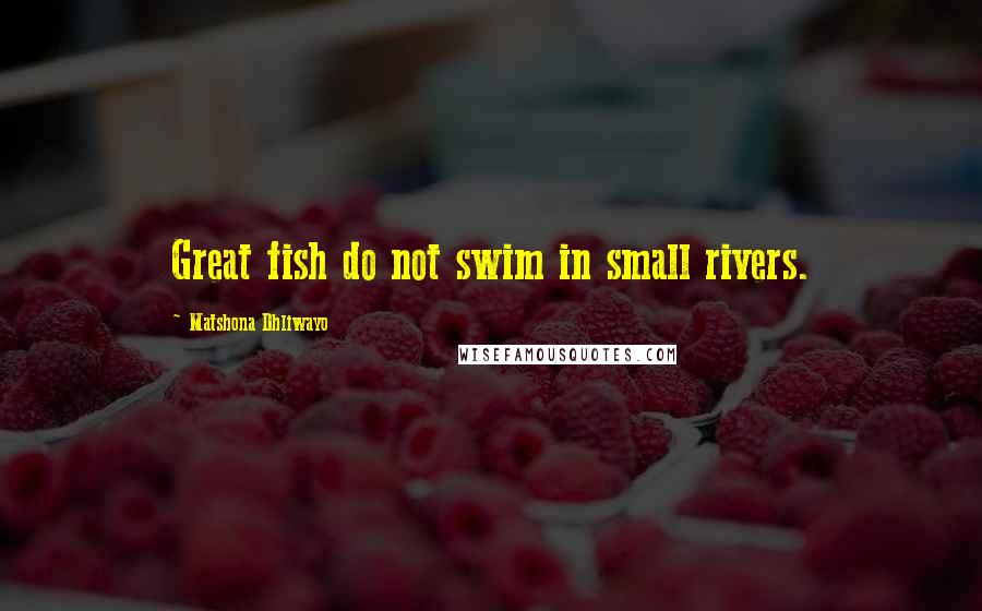 Matshona Dhliwayo Quotes: Great fish do not swim in small rivers.