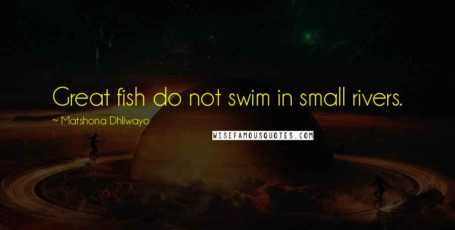 Matshona Dhliwayo Quotes: Great fish do not swim in small rivers.