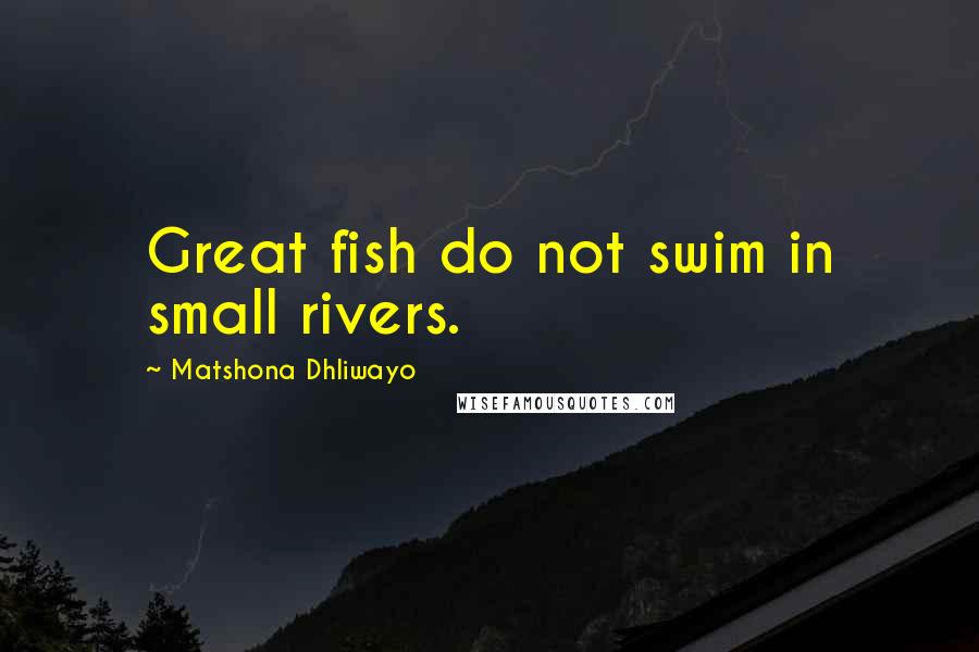 Matshona Dhliwayo Quotes: Great fish do not swim in small rivers.