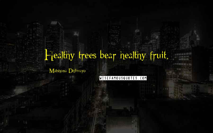 Matshona Dhliwayo Quotes: Healthy trees bear healthy fruit.