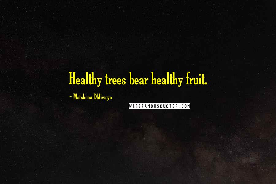 Matshona Dhliwayo Quotes: Healthy trees bear healthy fruit.