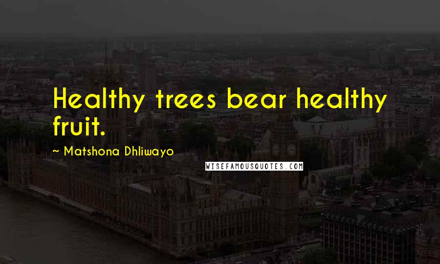 Matshona Dhliwayo Quotes: Healthy trees bear healthy fruit.