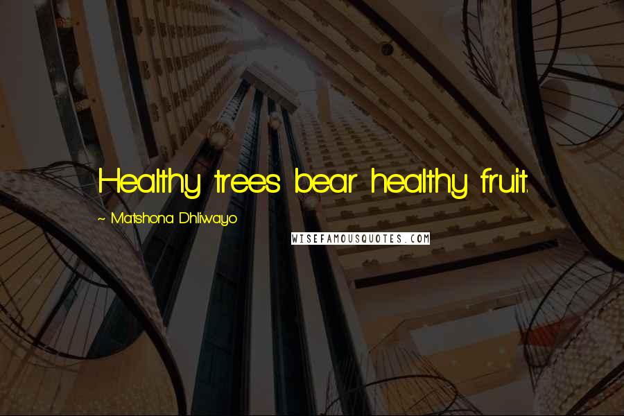 Matshona Dhliwayo Quotes: Healthy trees bear healthy fruit.