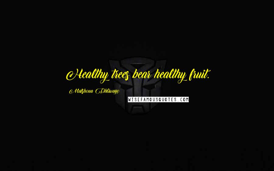 Matshona Dhliwayo Quotes: Healthy trees bear healthy fruit.