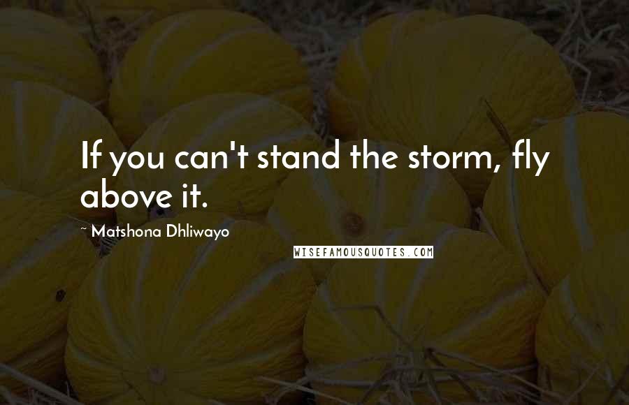 Matshona Dhliwayo Quotes: If you can't stand the storm, fly above it.