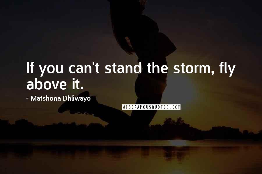 Matshona Dhliwayo Quotes: If you can't stand the storm, fly above it.