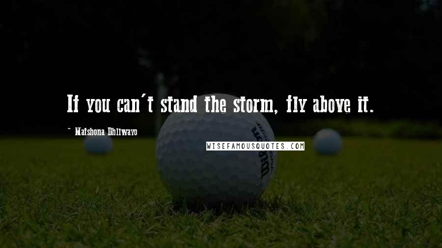 Matshona Dhliwayo Quotes: If you can't stand the storm, fly above it.