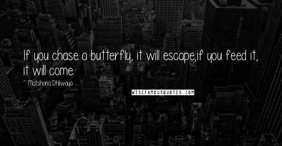 Matshona Dhliwayo Quotes: If you chase a butterfly, it will escape;if you feed it, it will come.