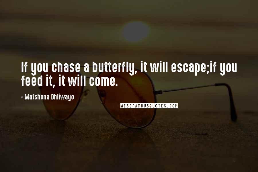 Matshona Dhliwayo Quotes: If you chase a butterfly, it will escape;if you feed it, it will come.