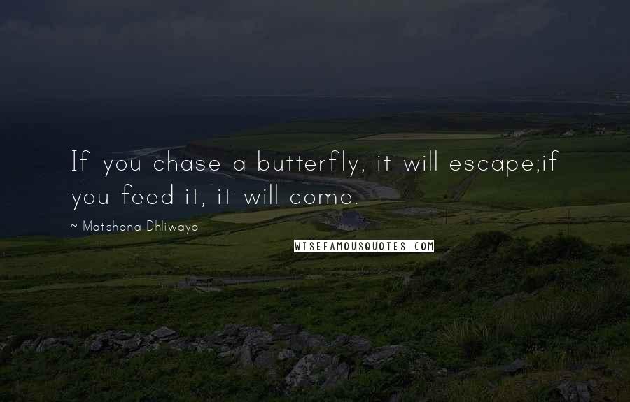 Matshona Dhliwayo Quotes: If you chase a butterfly, it will escape;if you feed it, it will come.