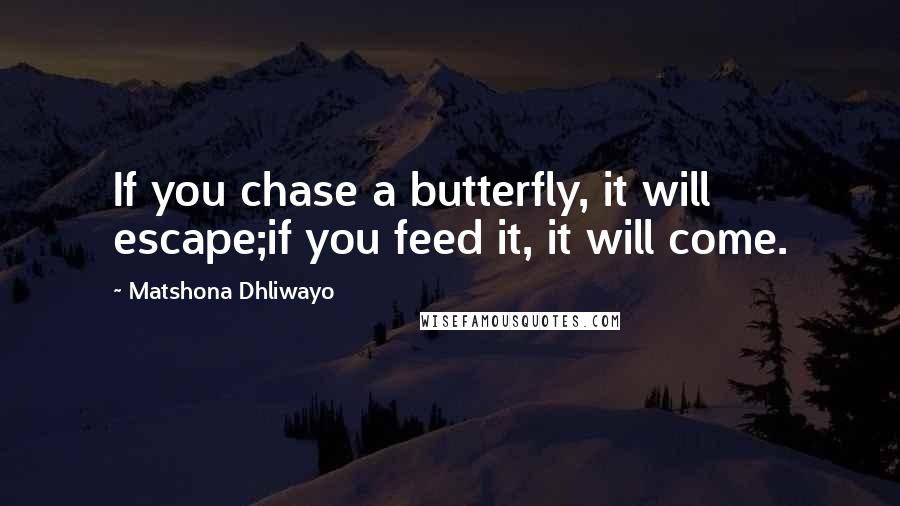 Matshona Dhliwayo Quotes: If you chase a butterfly, it will escape;if you feed it, it will come.
